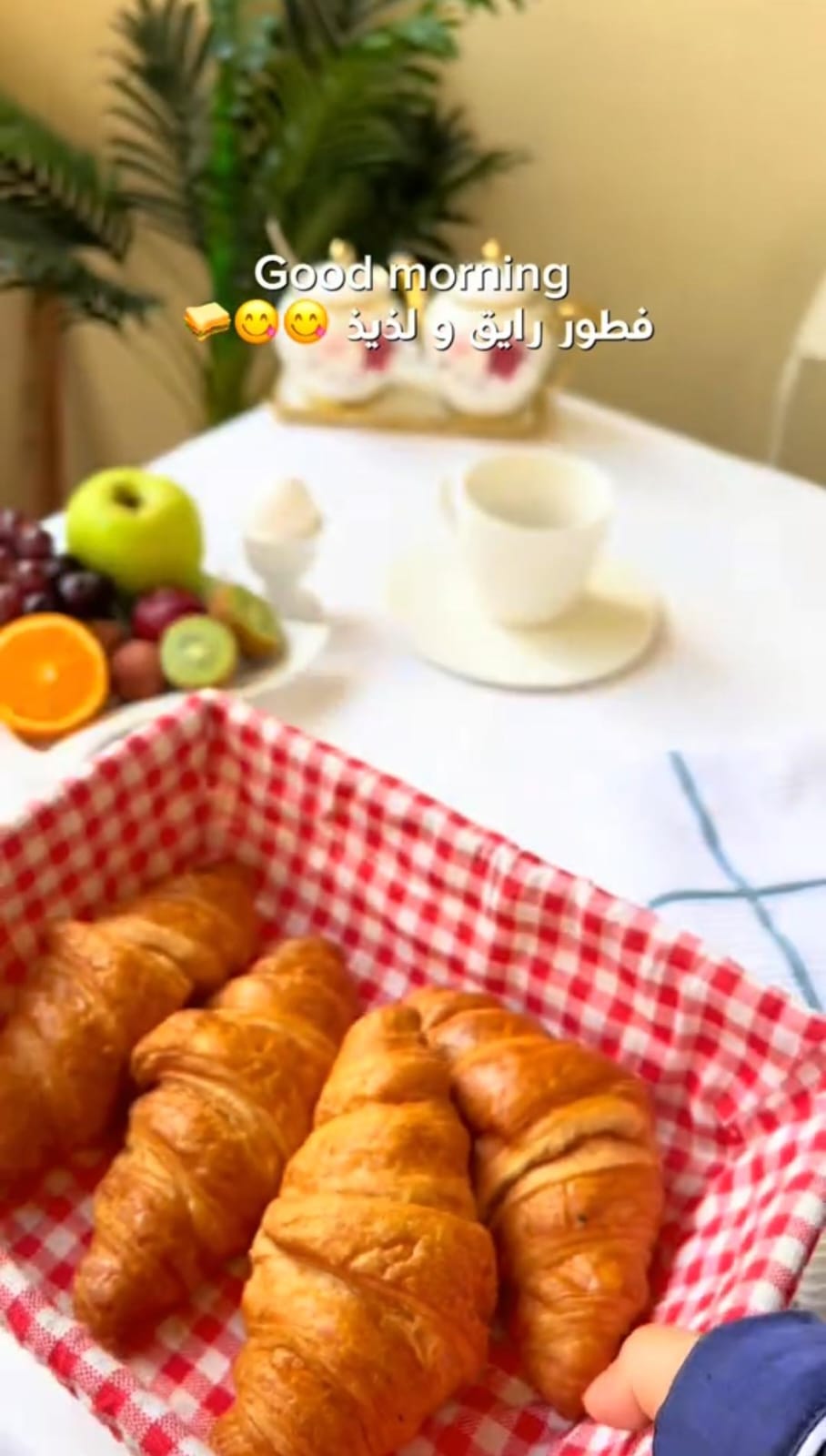 مفضلات (تمر)